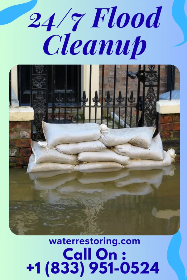 24/7 Flood Cleanup in Clifton Forge, VA