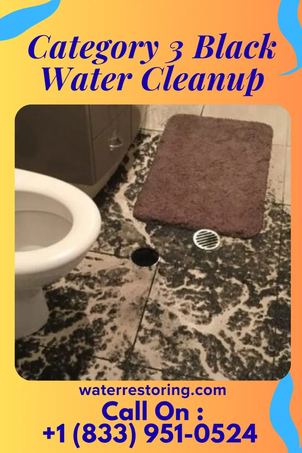 Category 3 Black Water Cleanup in Clifton Forge, VA