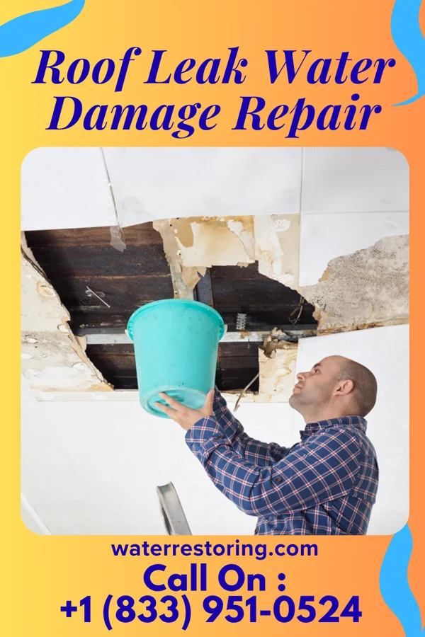Roof Leak Water Damage Repair in Clifton Forge, VA