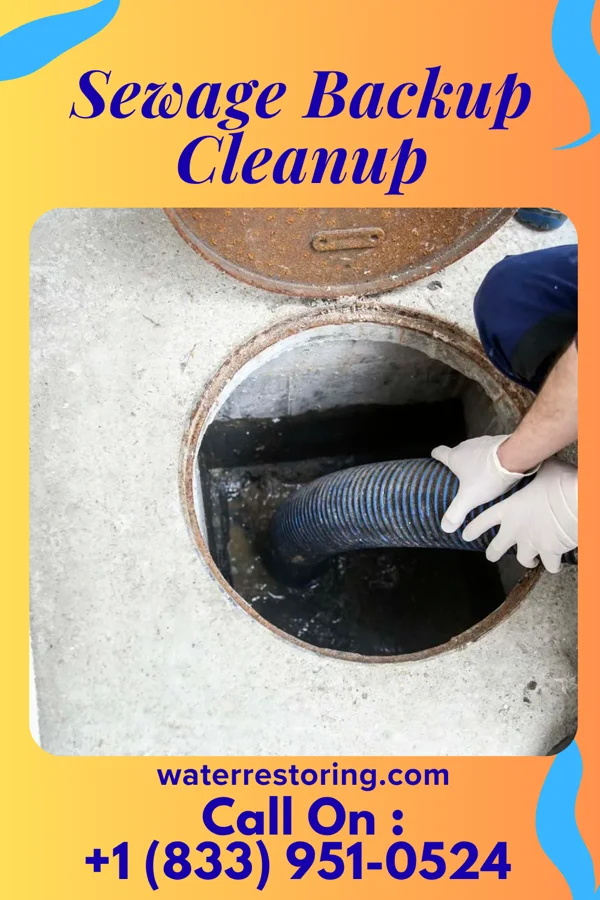 Sewage Backup Cleanup in Clifton Forge, VA