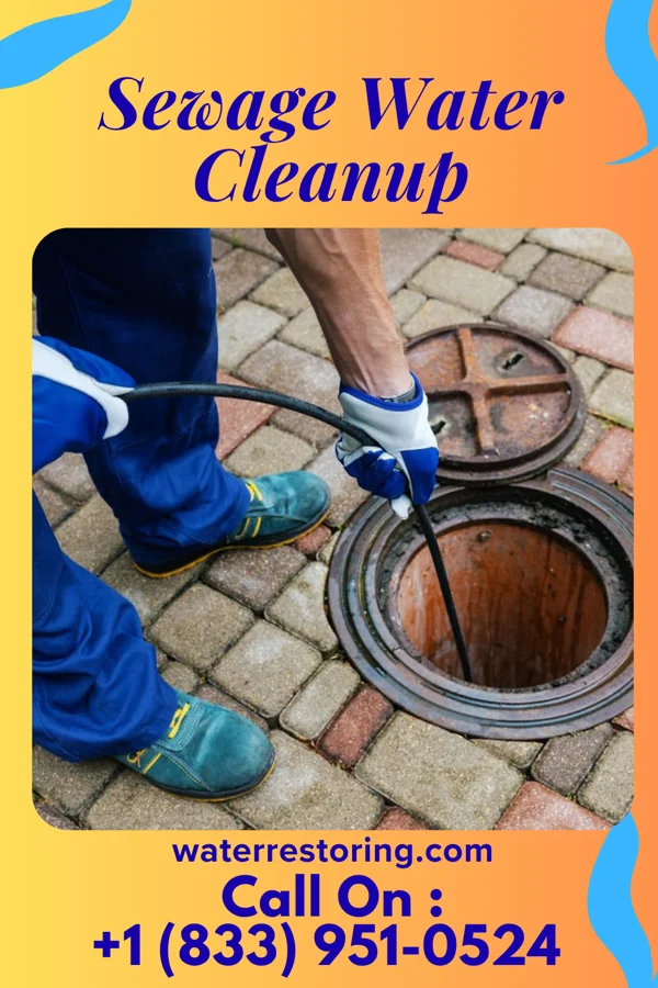 Sewage Water Cleanup in Clifton Forge, VA
