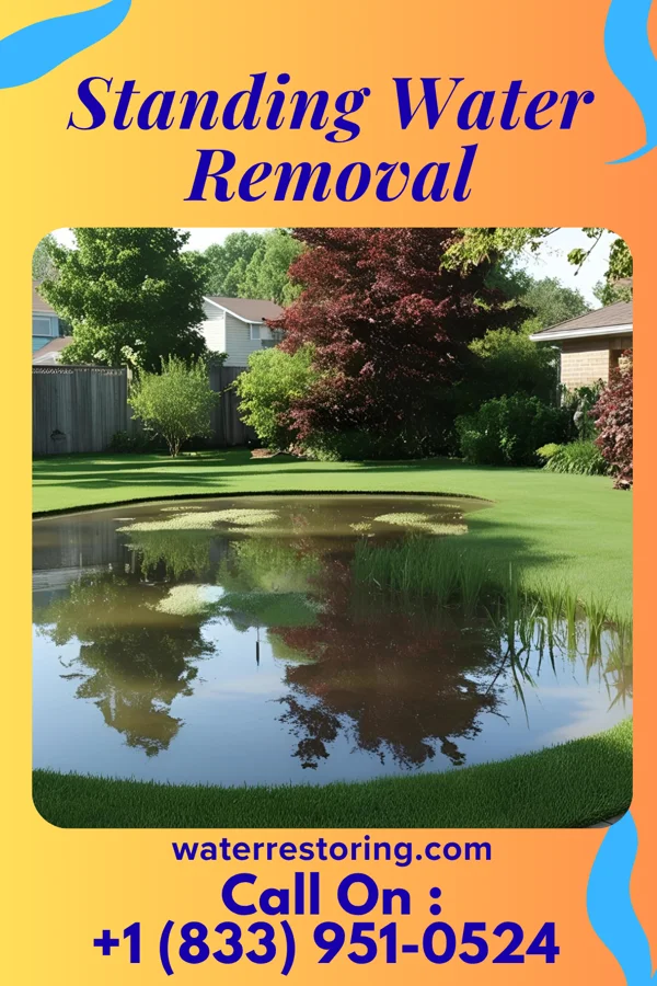 Standing Water Removal in Clifton Forge, VA